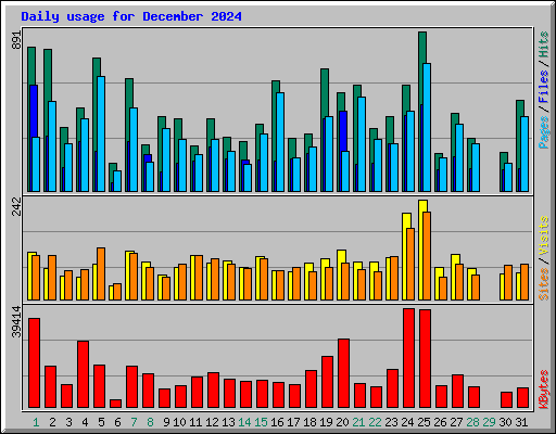 Daily usage for December 2024