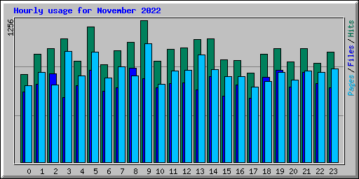 Hourly usage for November 2022