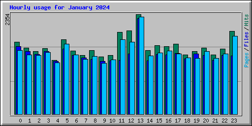 Hourly usage for January 2024