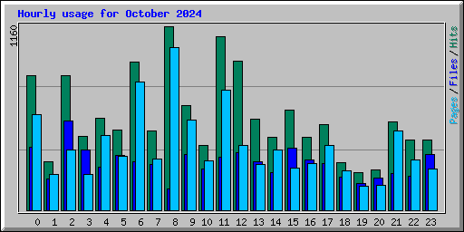 Hourly usage for October 2024