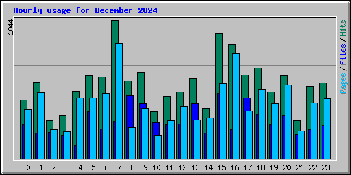 Hourly usage for December 2024