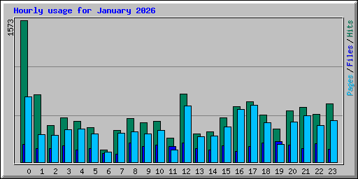 Hourly usage for January 2026